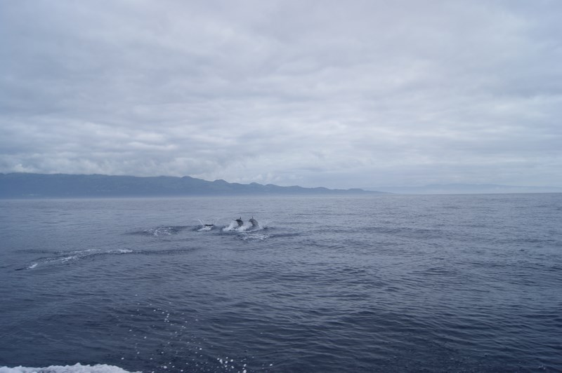 DSC07829