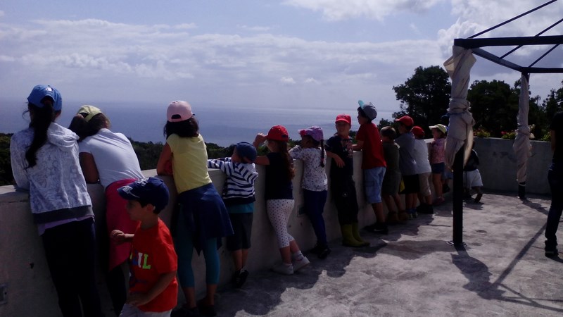 IMG_20150701_110340