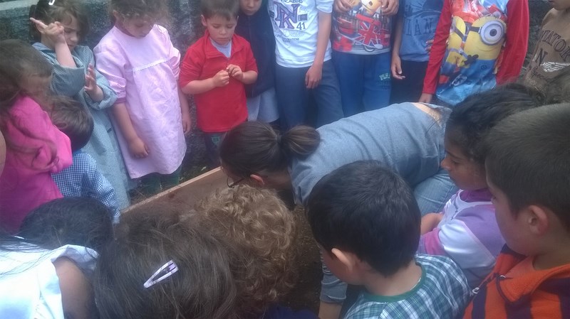 horta_escolar2
