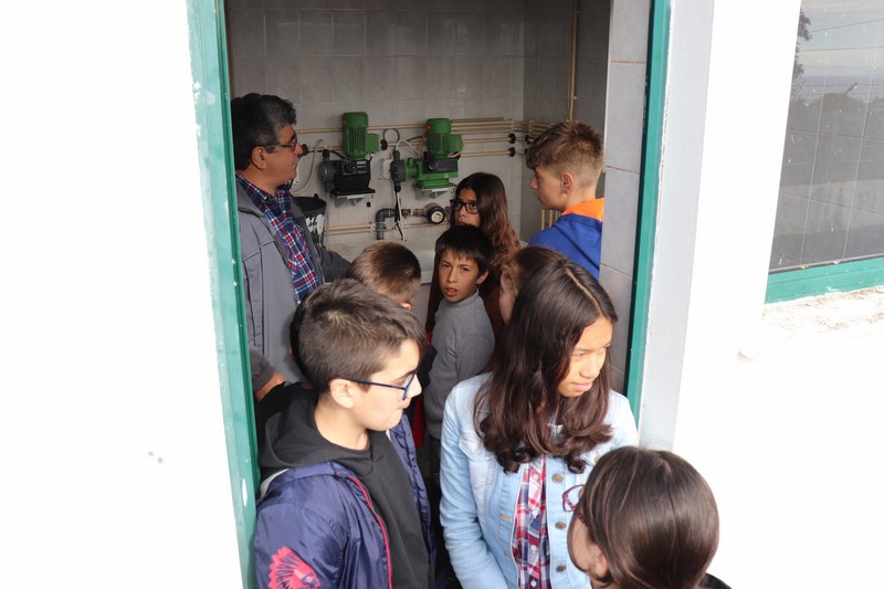 IMG_6154