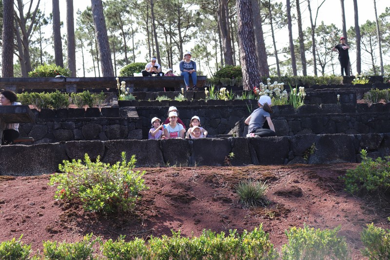 IMG_0542