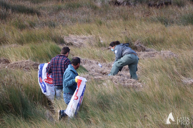 IMG_0622