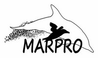 image-news projeto marpro Cópia