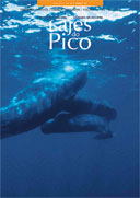 capa 2004-03
